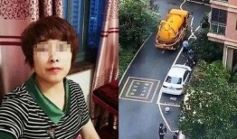 许国利最新爆料,揭开神秘事件的真相面纱