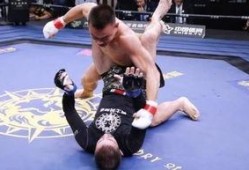 崩铁最新爆料桑搏,桑搏角色生成机制深度解析