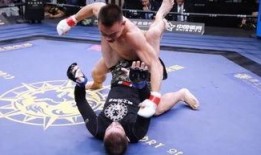 崩铁最新爆料桑搏,桑搏角色生成机制深度解析