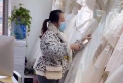 苍南婚纱店爆料案件最新,揭开背后惊人真相