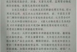 湛江猪价最新爆料,涨跌互现，市场行情揭秘