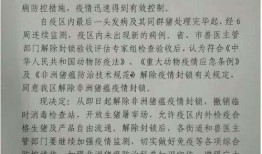 湛江猪价最新爆料,涨跌互现，市场行情揭秘