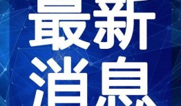 淘气哥哥爆料视频大全最新,揭秘娱乐圈幕后故事